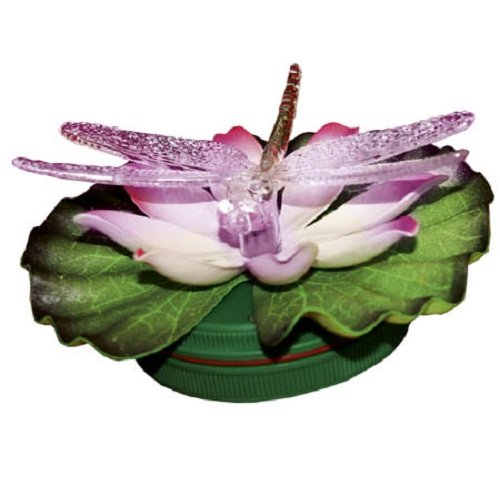 Best Season 066-38 LED Schwimmlicht Seerose mit Libelle RGB Farbwechsel