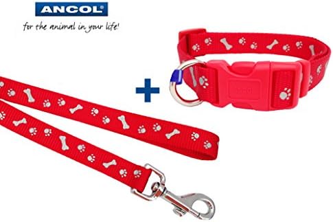 A Red Reflective Paw and Bone Collar &amp; Lead Set, Choose Size, (Medium Collar &amp; Lead)