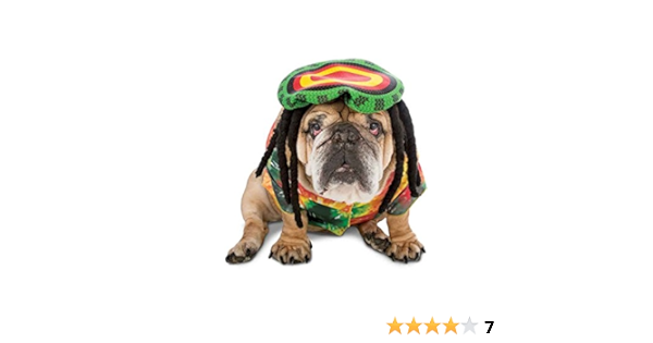 rasta dog shampoo