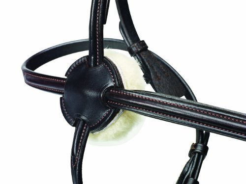 Caldene-Grackle-Bridle