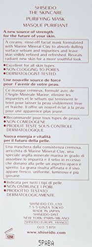 Shiseido THE SKINCARE Purifying Mask 75 ml