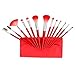 Fash Professional makeup nylon Brush Set, 13pc, For Eye Shadow, Blush, Eyeliner, eyebrow