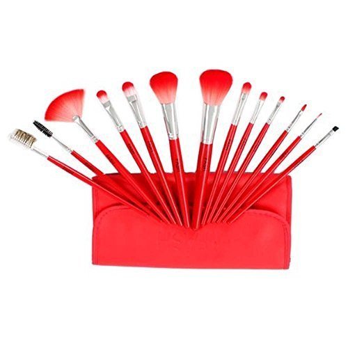 Fash Professional makeup nylon Brush Set, 13pc, For Eye Shadow, Blush, Eyeliner, eyebrow