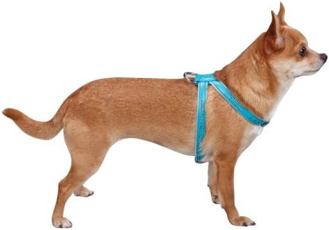 East Side Collection Nylon Dog Gemstone Harness, X-Small, 1/2-Inch, Blue
