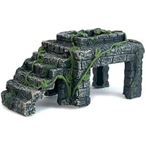 Lucky Reptile SS-S Steintreppe klein