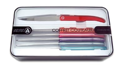 Laguiole Evolution 000124 Coffret de 6 Couteaux à Steak avec Manche Inox Multicolore