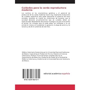 Cuidados para la cerda reproductora moderna: Producción Porcina