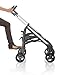 Inglesina AE30G6100 Frame Zippy Pro