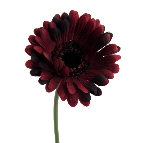 Kunstblume Gerbera 50cm. BURGUND -03