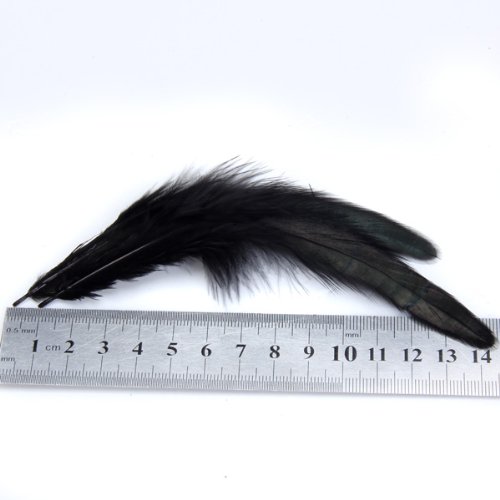 150 Stk. gefärbt Dekor Hahn Feder Hut Fan Schwarz - 4