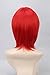 Topcosplay Unisex Universal Short Straight Cosplay Costumes Halloween Party Hair Full Wigs (Red)