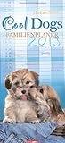 Cool Dogs Familienplaner 2013 by 