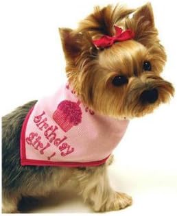 I See Spot Birthday Girl Pet Dog Bandana Scarf, Size Small