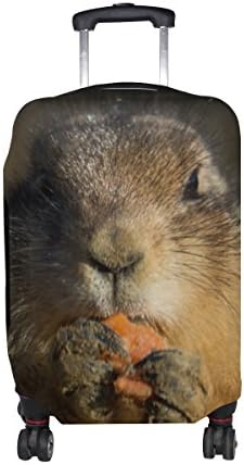 Aumimi Prairie Dog Luggage Cover Elastic Protector Fits XL 29-32 in Suitcase