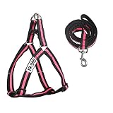ESTILO CLASSIC LOOK - La correa y el arnés para perros tienen un aspecto limpio y clásico que hará que su perro se vea más atractivo en el parque para perros, en la cafetería para perros, en las clases de adiestramiento de perros u otro lugar favorito de los perros.
