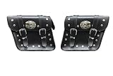 Motorcycle Utility Bags Pair - with Metal studs, Hawk design RS.2999 (63.00% Off) - Amazon