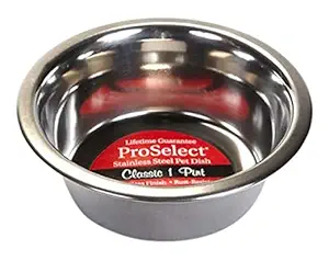 Pro Select Stainless Steel Classic Dog Bowl, 1-Pint