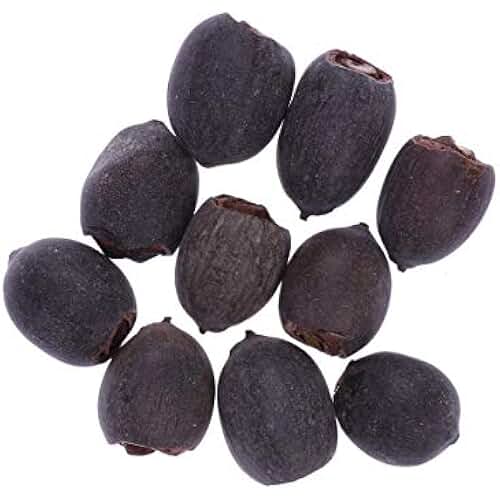 Amazon.es semilla flor de loto