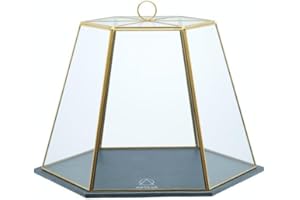 ARTESA Artesà Cupola geometrica in vetro per formaggio/torta con base in ardesia, supporto per cloche da esposizione con coperchio in vetro, 31 x 27,5 x 25 cm (12“ x 11” x 10") - Effetto ottone