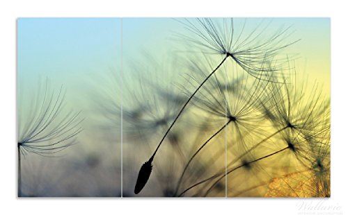 Herdabdeckplatte / Spritzschutz aus Glas, 3-teilig, 90x52cm, für Ceran- und Induktionsherde, Samen der Pusteblume in Nahaufnahme vor blauem Himmel