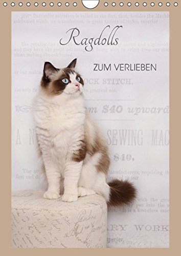 Ragdolls zum Verlieben (Wandkalender 2018 DIN A4 hoch): 13 liebevoll zusammengestellte Farbaufnamen der sanften Ragdoll, vom Kitten übers Jugendalter ... [Apr 04, 2017] Reiß-Seibert, Marion