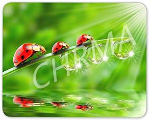 CHRMA Gaming Mouse Pad 11.8 x 9.2 Inches Colourful Ladybird Mouse Mat Pad - Ladybug Bug Insect Fun image 345
