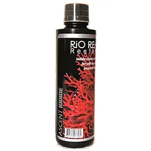 RIO REH Ascent Iodide | 250ml | Marine Aquarium Additive