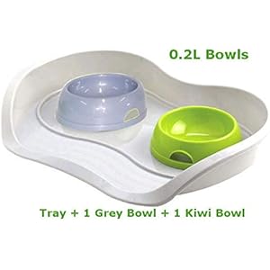 Cat Dog 1Kiwi + 1grau Schale 0,2l + Schacht 3Farben Lebensmittel Wasser Gericht Füttern Kätzchen Bone Pet Animal