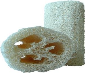 Half Loofah