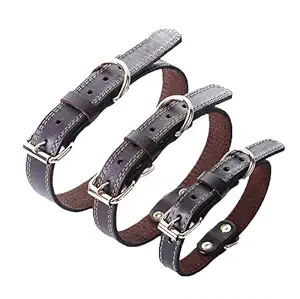 Rigsafe Genuine Leather Dog Collar , Well Cushioned , Best for Your Dogs, Cats Can be custmoised with Your pet Name (Brown, XS ( 9