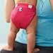 Gnappies Little Gpant Goddess Pink, Medium Reuseable Nappies