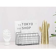 Suchergebnis auf Amazon.de für: zeitschriften wandhalterung