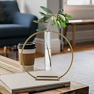 Circular Shaped Metal Planter in Golden Color with Test Tube for Home Decor by House of Sajja
