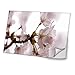 Price comparison product image Flowers 10005, White Flower, Skin Sticker Decal Protective Cover Vinyl with Leather Effect Laminate and Colorful Design for Laptop 11.6"