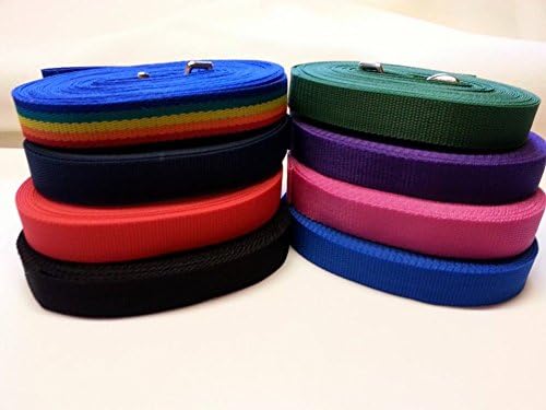 Top Quality Nylon Tracking/Training/lunge/recall Line lead dog lead (red, 15 mtr)