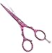 Hairdressing Scissors 5.5'' - Hair Cutting Scissors - Barber Salon Scissors - hair Styling Scissors - Barber Scissors + Case