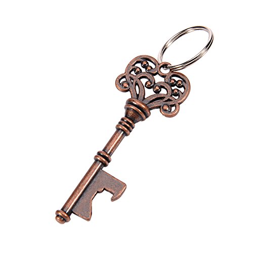 aihometm Retro Schlüssel Form Bier Flaschenöffner Schlüsselanhänger Bier Öffner für Bar KTV Club Home, Zinklegierung, Bronze B, Keyring