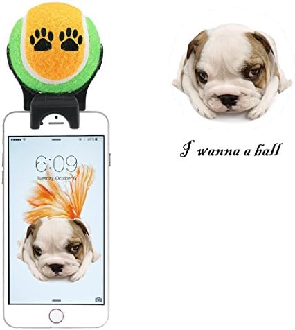 E-PLG Smartphone Attachment Selfie Stick for Pet - Pet Selfie Stick - Pet agility training - pet toy (blue color selfie stick) (orange green)