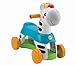 Fisher-Price Y6985 Rollin Tunes Zebra