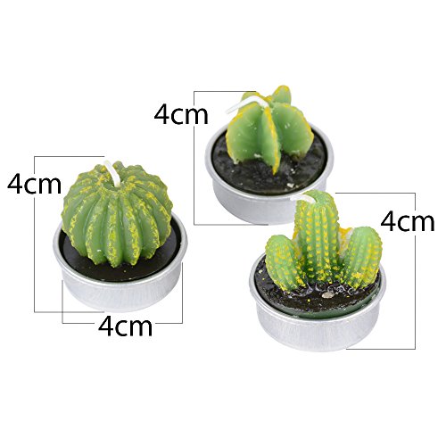 Lot-de-6-Cactus-Bougies-en-Paraffine-et-3-Formes-avec-Support-de-Bougie-Bougies-Chauffe-Plat-pour-Nol-Fte-Mariage-ou-Deco-Maison2pcs-par-Chaque-Forme