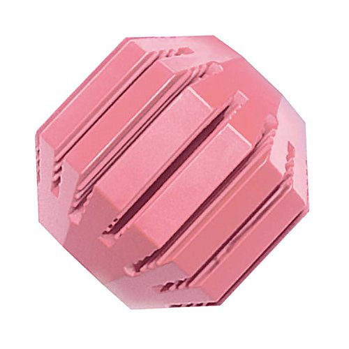 Kong Small Puppy Activity Ball Dog Toy