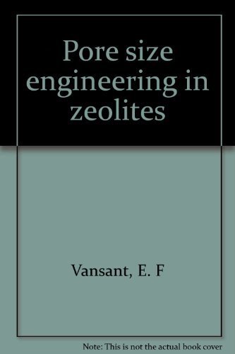 Preisvergleich Produktbild Pore Size Engineering in Zeolites