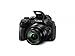 Price comparison product image Panasonic Lumix DMC-FZ330EBK Bridge Camera with 25 - 600 mm Zoom and Full Range F2.8 - Black