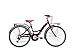 Produktbild 24 Zoll Mädchen Fahrrad 6 Gang Adriatica CTB, Farbe:schwarz-pink