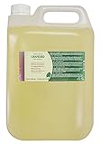 Naissance Grapeseed Oil - 100% Pure - 5 Litres