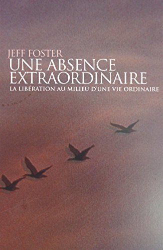 Télécharger Une absence extraordinaire : La libération au milieu d'une vie ordinaire PDF