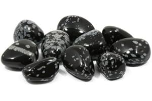 GEOFOSSILS Snowflake Obsidian Tumble Stone (20-25mm) - 5 Pack