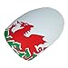 Chix Nails Nail Wraps Welsh Flag Wales Green White The Red Dragon Fingers Toes Vinyl Foils Minx Trendy Style