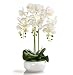 Produktbild Gesteck künstliche Orchidee im Keramik Übertopf - Gesamthöhe: ca. 65cm | Stoffblüten | Farbe: Weiß - Ecru | Gesteck Orchidee Kunstpflanze Arrangement Kunstblumen Tischdeko Fensterschmuck