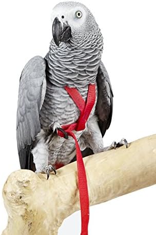 Adventure Harness For Birds Petite Silver